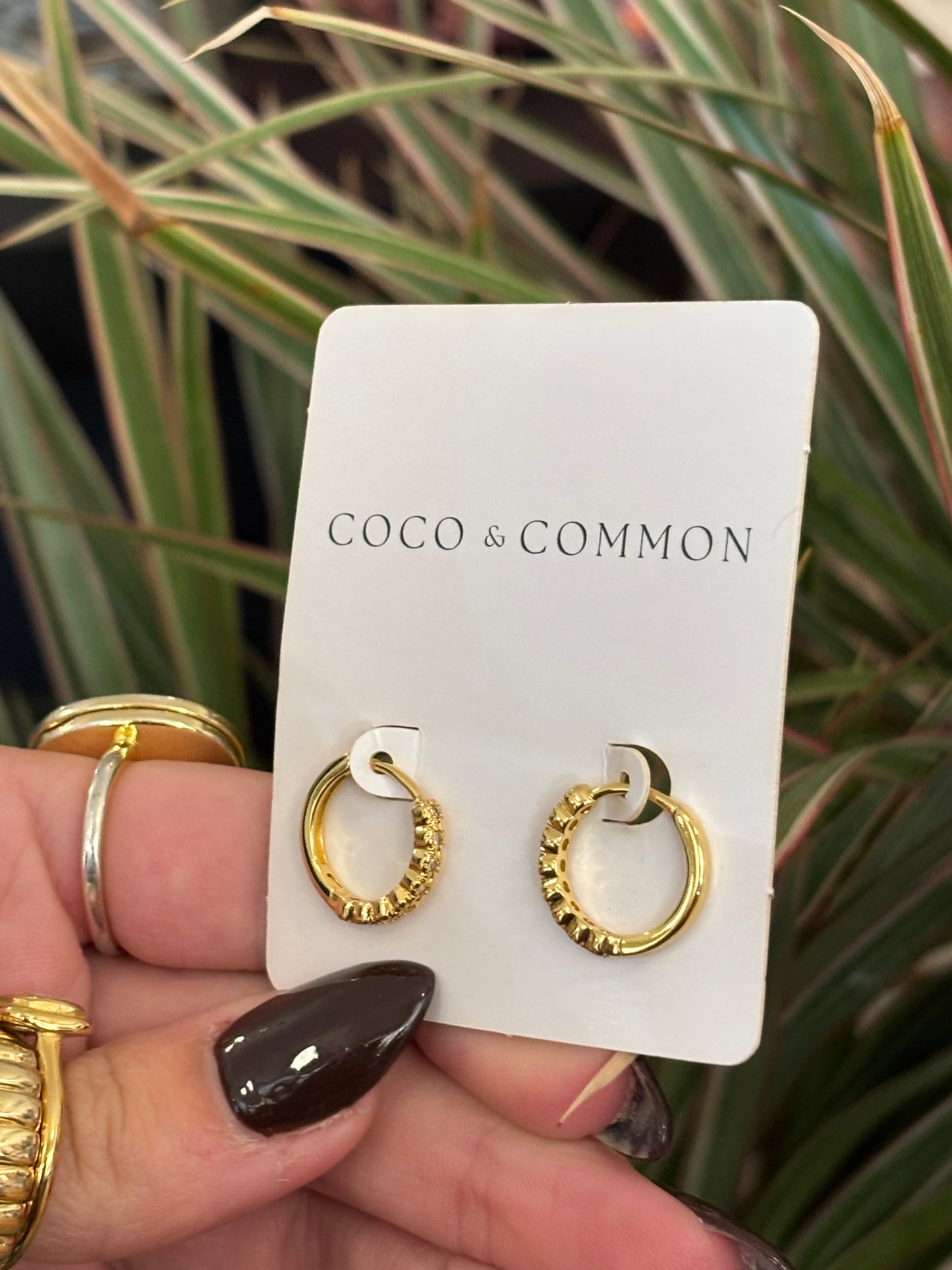 The Capri Hoops