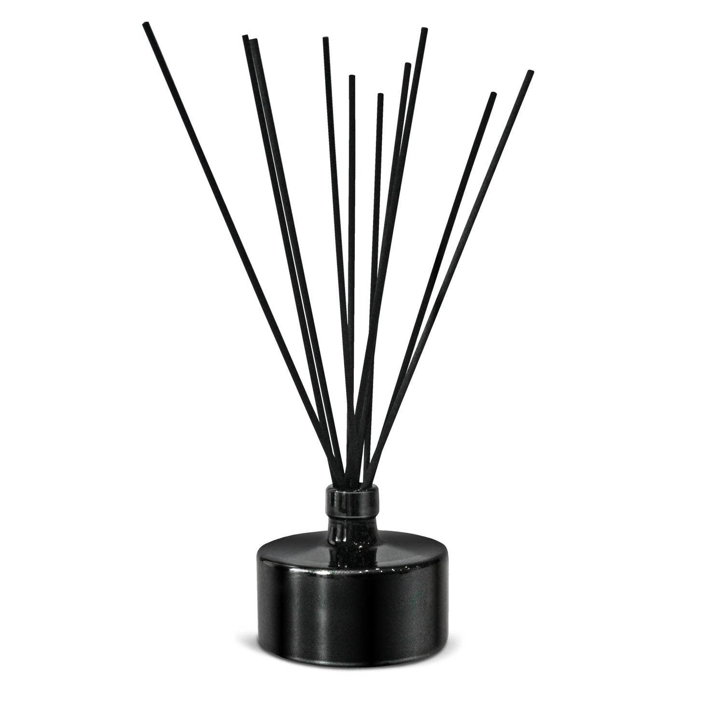 Glistening Black Reed Diffuser: Santal / One Way