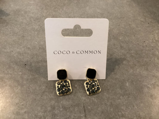 Black Stone Earrings