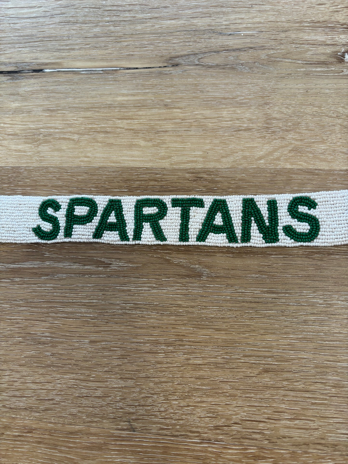 Michigan State Spartans