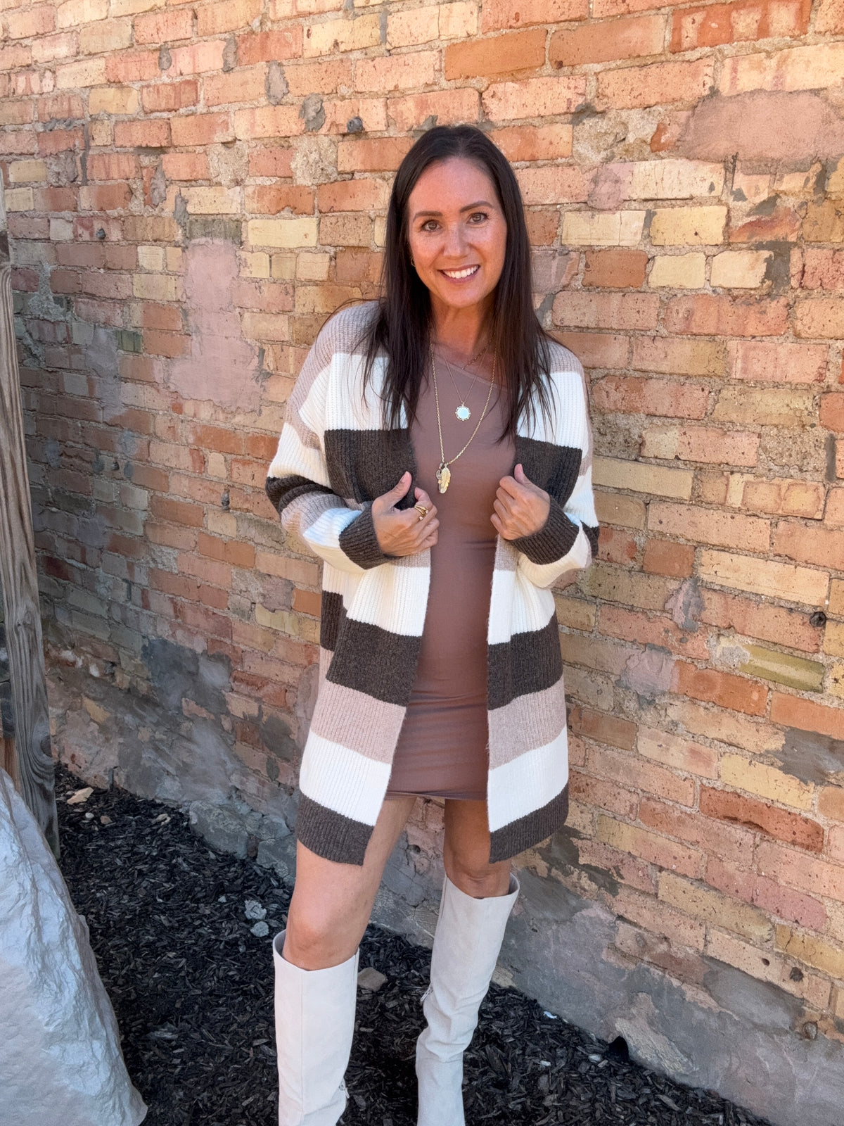 Palmer Mini Dress