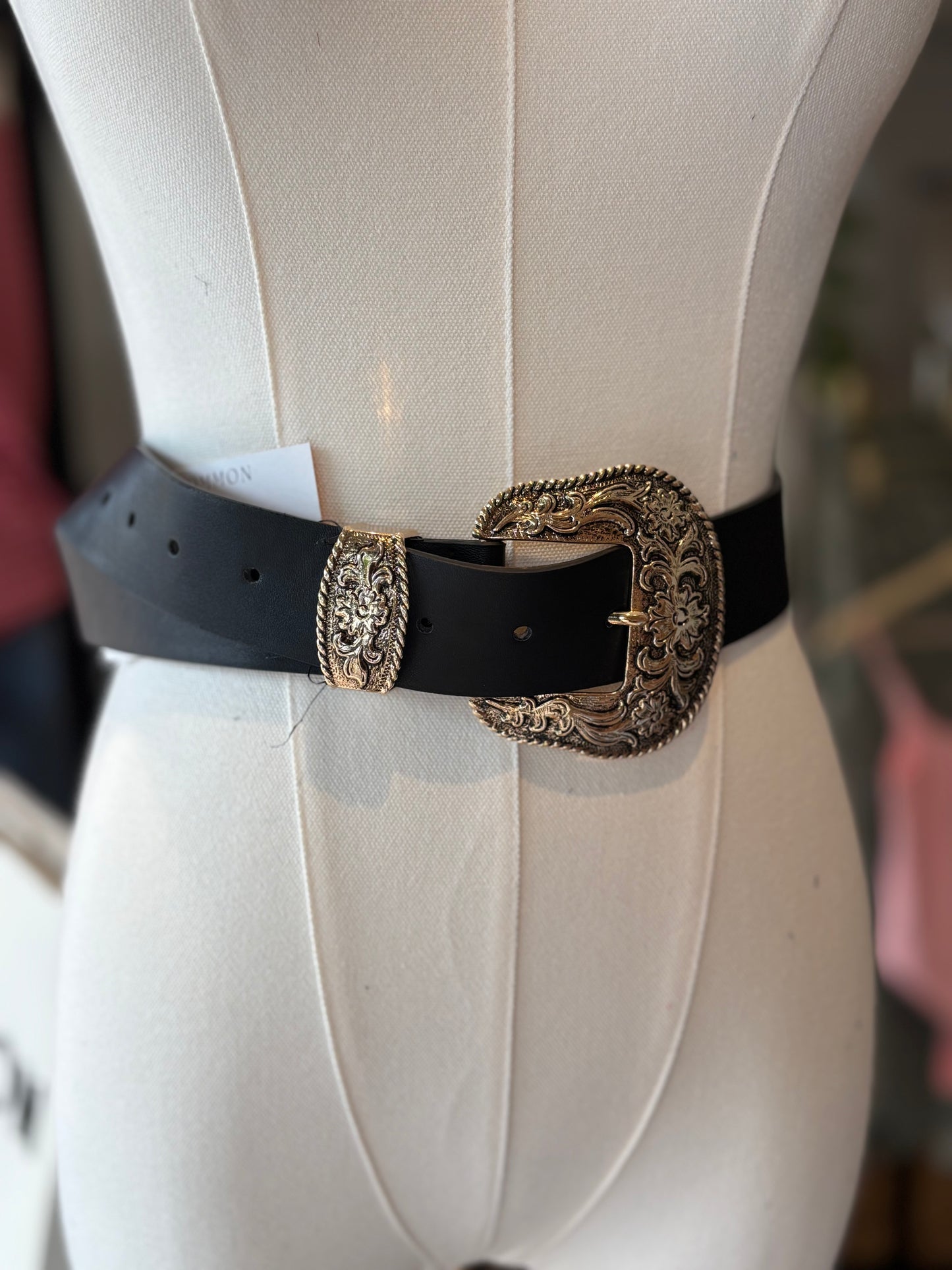 Stagecoach Belt