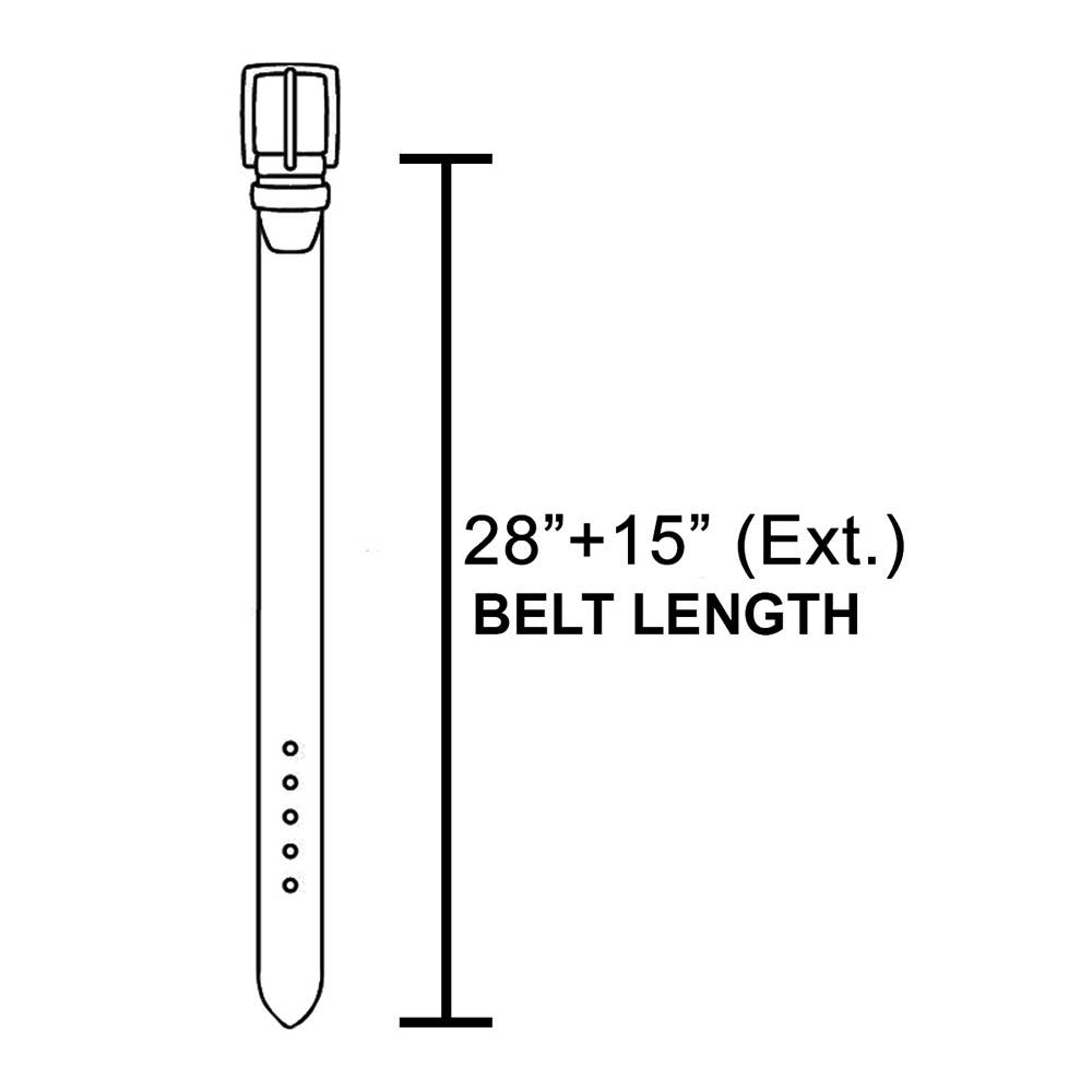 Desert Halo Concho Belt