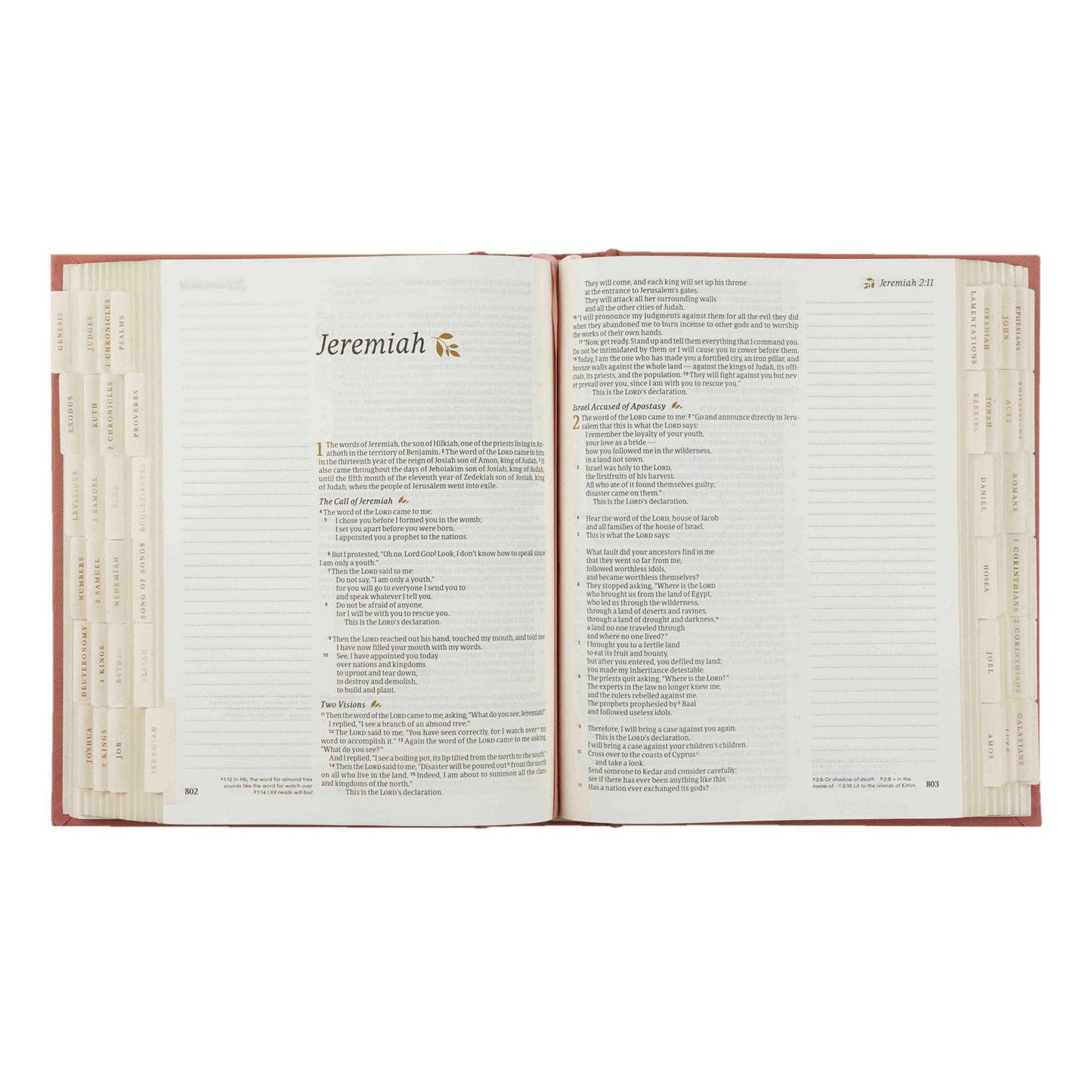 Hosanna Revival Bible Tabs: Gold Foiling